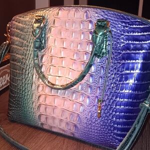 Brahmin Zuxbury